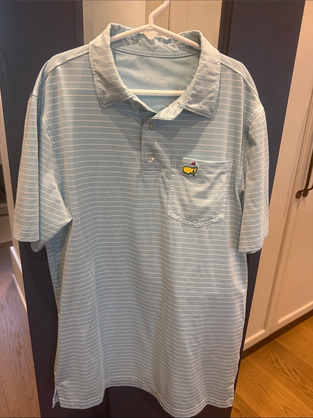 Masters kids Blue Striped Polo with Chest Pocket Logo